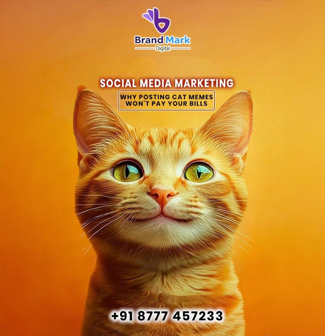 Social Media Marketing: Why Posting Cat Memes Won’t Pay Your Bills
